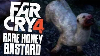 RARE HONEY BADGER HUNTING - Far Cry 4 Funny Moments