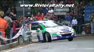 Tribute peugeot 207 s2000 pure sound The best of