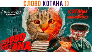 СЛОВО КОТАНА. ШЕРСТЬ НА ДИВАНЕ ))) | Приколы с котами | Мемозг 1358