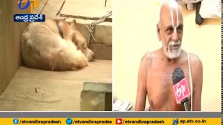 Sundara Vadana Bhattacharyulu Oppose | to Pet Dogs in Ramana Deekshithulu Home