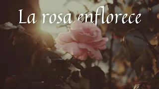 LA ROSA ENFLORECE | pieśń sefardyjska | Sylwia Hazboun