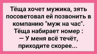 Теща Вызвала Мужа на Час! Сборник Смешных Свежих Жизненных Анекдотов!