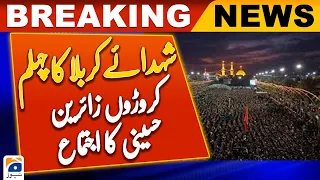 Arbaeen chehlum imam Hussain as | Arbaeen pilgrimage | Karbala