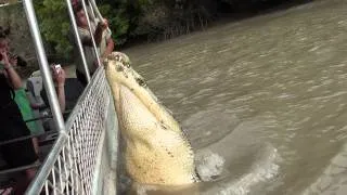 Jumping crocodile pt 1 Adelaide River  15-7-11