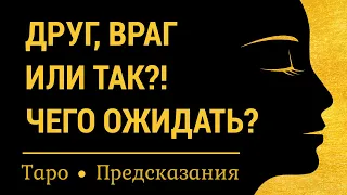 Друг, враг или как? Истинное отношение к Вам загаданного человека, чего ожидать? Онлайн таро расклад