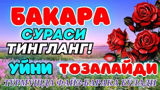 Бақара сураси Уйга ШАЙТОН кирмайди !!! Baqara surasi БАКАРА BAQARAH | БУ СУРАНИ УҚИНГ