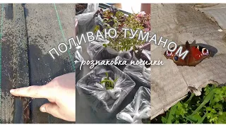 Розпаковка Бережнюки.  Полив туманом городу.  Закон підлості в дії - чи піде дощ, коли вже полив?