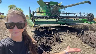 Combine STUCK In Mud | Farm Rescue