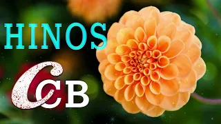 LINDOS HINOS CCB CANTADOS 193, 01, 118, 129, 185, 191, 220, 256, 323, 329, 349