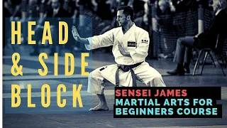 Martial Arts for Beginners Lesson: Cobra Kai Head & Side Block