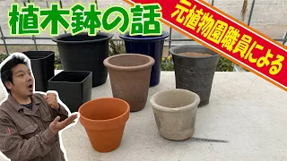 植木鉢の話【後半かわいいサイズの多肉登場すます】