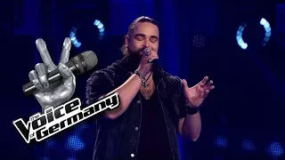 Confrontation - Jekyll and Hyde | Michael Wansch Cover | The Voice of Germany 2016 | Blind Audition