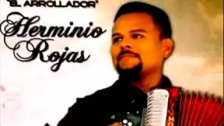 Herminio Rojas - La micha y el raton( en vivo )