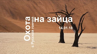 Охота на зайца 14 01 18