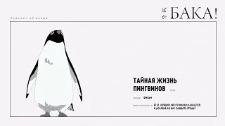 Тайная жизнь пингвинов | Лучший ли это фильм для детей и должна ли нас смущать грудь?