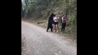 woman encounter with a black bear in mexico park