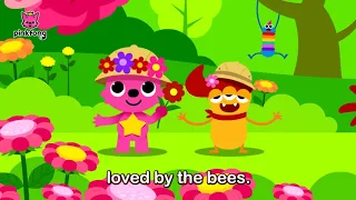 Nature   Word Power   Learn English   Pinkfong Songs for Children