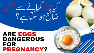 Are Eggs Dangerous For Pregnancy? | Kiya anda khane se Hamal Zaya Ho Sakta Hai | Dr Aisha Riaz