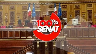 Quel est l’état du narcotrafic dans le monde ? Le Sénat entend des chercheurs