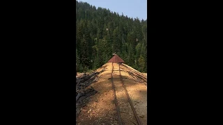 Gold Mining in Oregon - lower Musick Mine on Bohemia Mountain