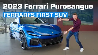 Ferrari Purosangue (2023) South African reveal - The Anti-Ferrari Ferrari