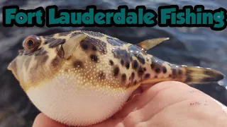 Fishing Fort Lauderdale's Saltwater Canals