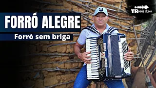 FORRÓ SEM BRIGA I Forró Alegre I Chiquinho do Acordeon I instrumental