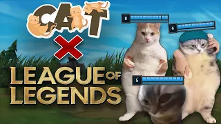 🐈 CAT LEAGUE MEMES