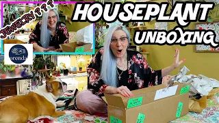 Rare Houseplant Unboxing (Wishlist Plant?) & Surprise SPARKLING Plant Mail