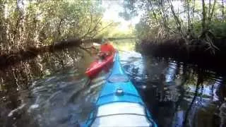 Kayak Camping Trip to Jackfish Island in the Ten Thousand Islands