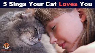 5 Signs Your Cat Loves You