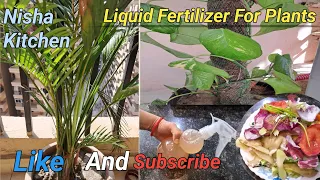 How To Make Free Liquid Fertilizer From Almost Anything with this Ancient Method #trending #india