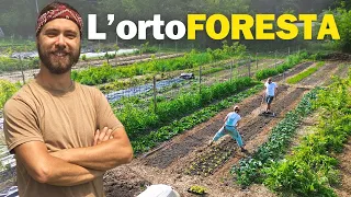 Come "ORTOFORESTA" Sta Rivoluzionando l'Agricoltura.