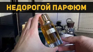 Топ 10 Лучших бюджетных мужских ароматов // недорогой мужской парфюм