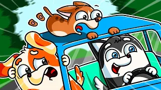 Thrills and Spills with Hoo Doo: Toy Car Shenanigans?! | Hoo Doo Animation