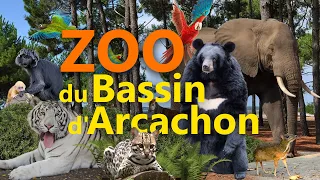 Zoo du Bassin d'Arcachon - Ein Geheimtipp in Frankreich? |  Zoo-Eindruck