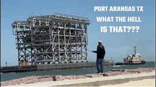 Port Aransas, TX: What the Hell is That?