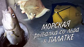 МОРСКАЯ НОЧНАЯ РЫБАЛКА СО ЛЬДА В ПАЛАТКЕ / SEA NIGHT FISHING WITH ICE IN A TENT