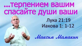 Терпением вашим спасайте души ваши - Максим Мамакин