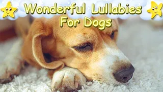Super Effective Sleep Music Lullaby For Beagles ♫ Calm Relax Your Dog Puppy ♥ Music For Animals Pets