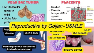 USMLE Reproductive - by Goljan the best