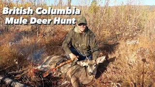 A Mule Deer Rifle Hunt | British Columbia