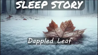 Story of Leaf | Calm Bedtime Story for Grown Ups | Sound of Rain,Bird,Wind and Snow