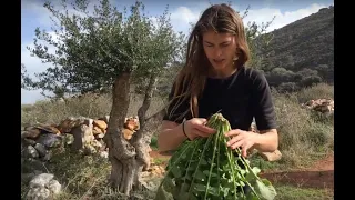 Edible Alchemy on Crete - Episode III - discovering the Horta / edible plants on Crete