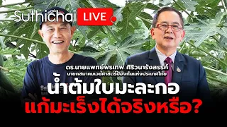 น้ำต้มใบมะละกอแก้มะเร็งได้จริงหรือ?: Suthichai Live 3-6-2567