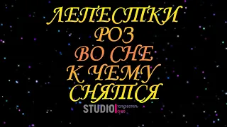 ТОЛКОВАТЕЛЬ СНОВ ~ ЛЕПЕСТКИ РОЗ ВО СНЕ, К ЧЕМУ СНЯТСЯ.