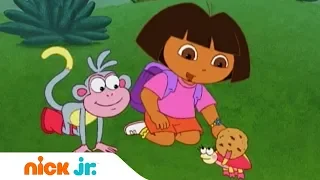 Даша-путешественница | Поиск жуков | Nick Jr. Россия