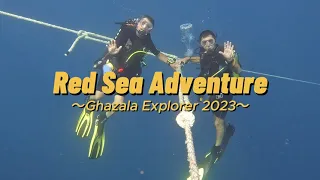 Sharks, Dolphins Diving in the Red Sea Ghazala Explorer in October 2023 with Bob Willis