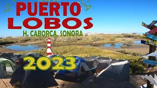 Rodando al Evento Caborca en Puerto Lobos...costa de caborca.  #rodandoporsonora