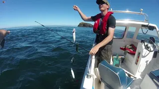 Sport Fishing Orkney Island Scotland